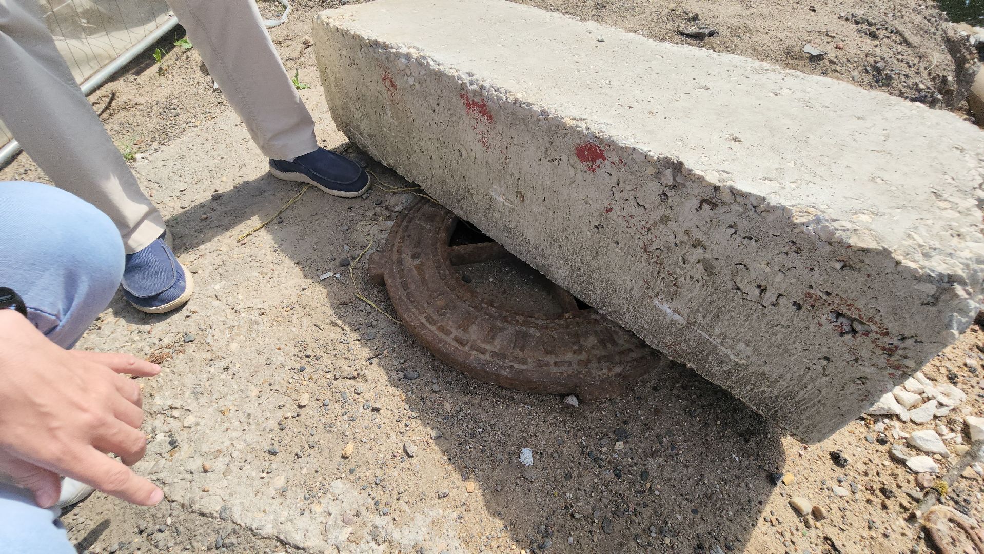 Пушкино, Пушкинский округ, история, краевед, библиотека, лето в Подмосковье