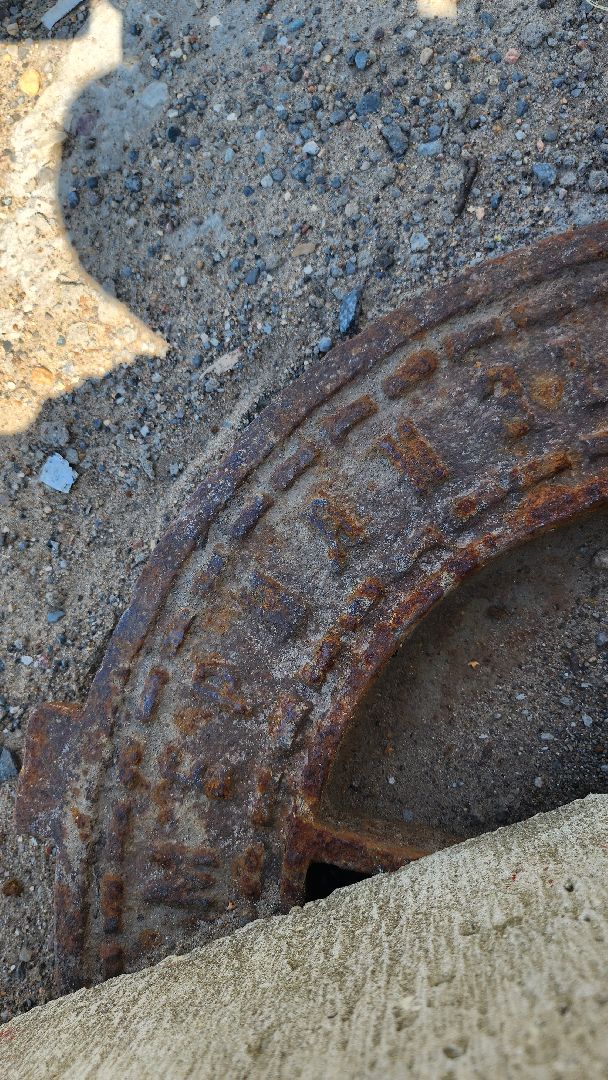 Пушкино, Пушкинский округ, история, краевед, библиотека, лето в Подмосковье