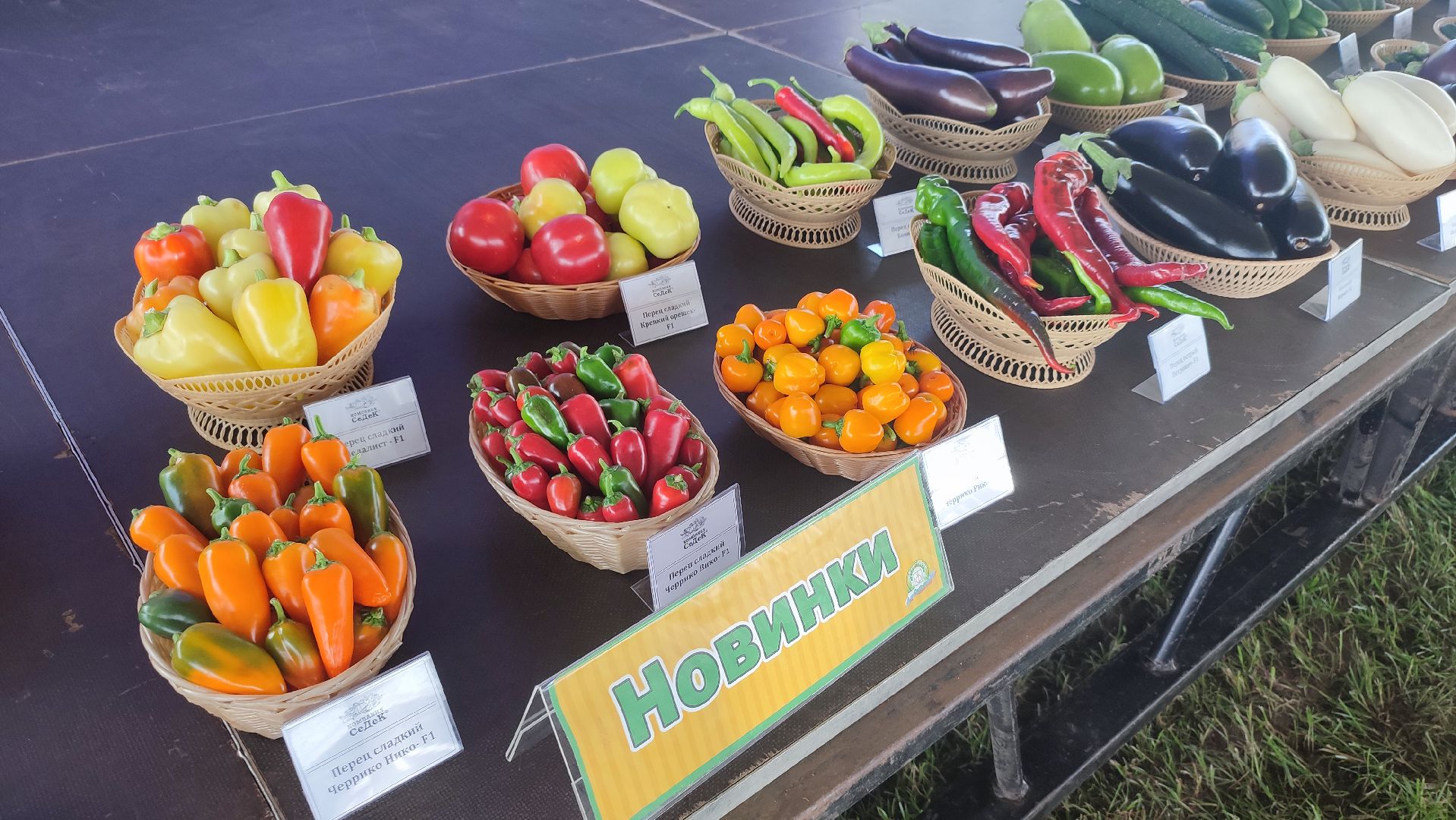 Кашира, СеДек, День поля, картофель, импортозамещение