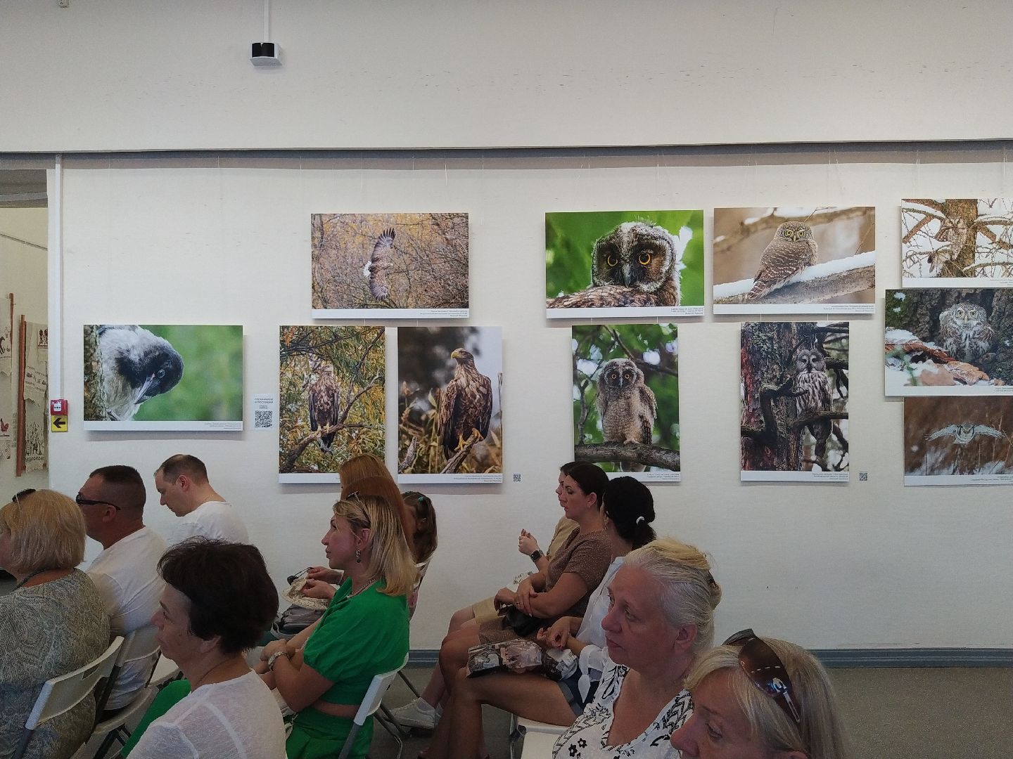 Коломна Фото Птицы