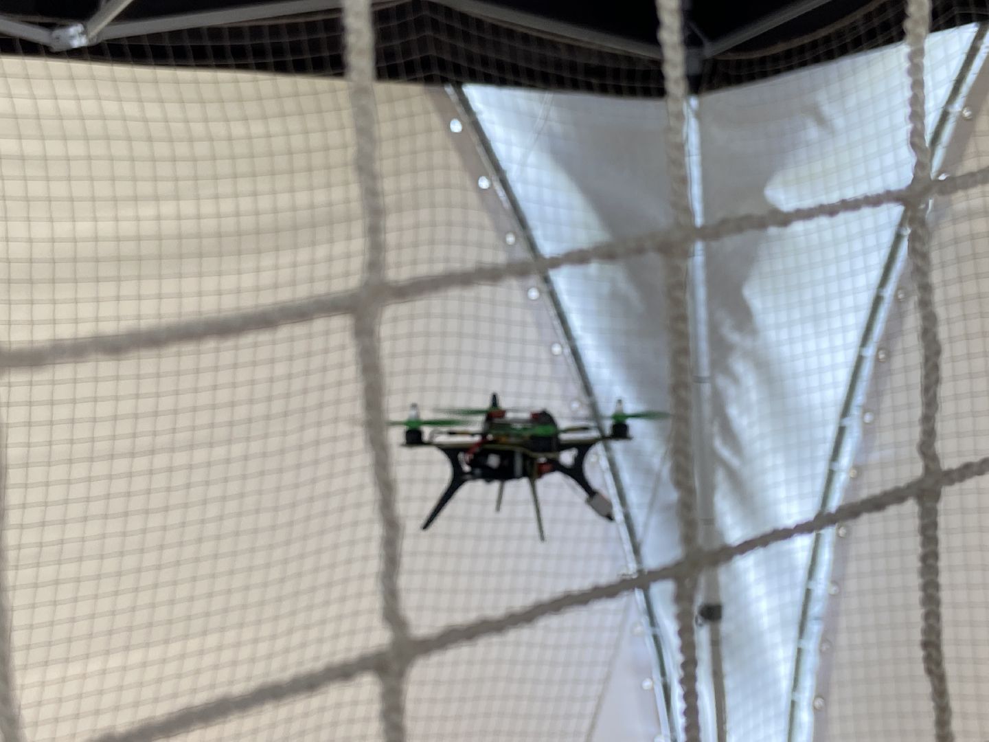 дети, фестиваль,