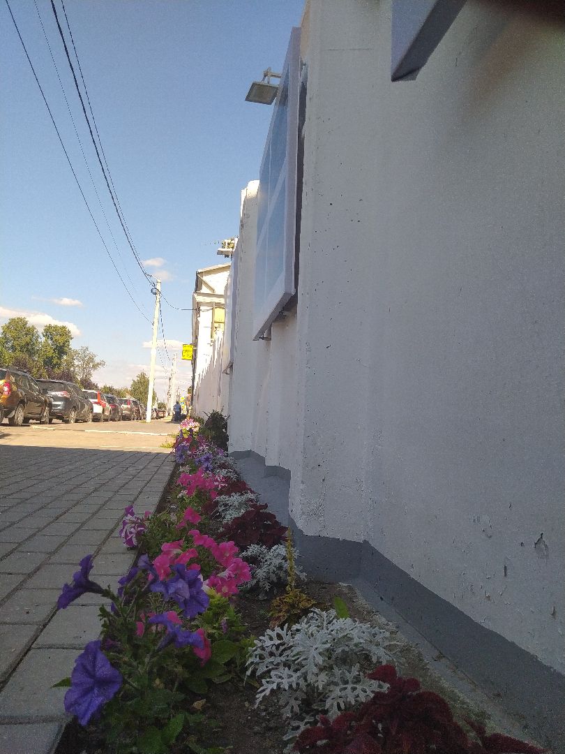 Коломна, Культура