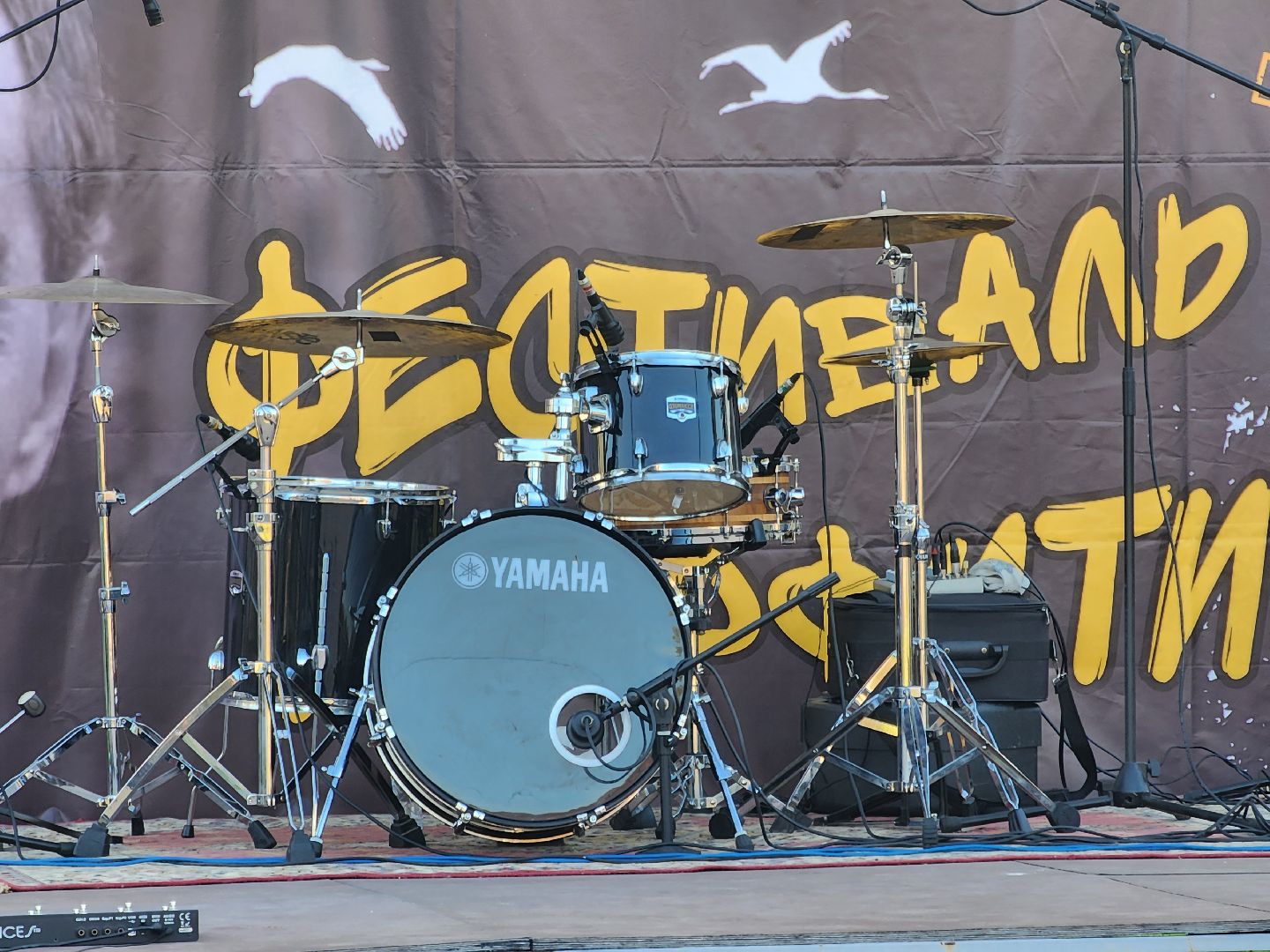 Павловский Посад, городской округ Павловский Посад, люди, праздник, концерт, группа, фестиваль