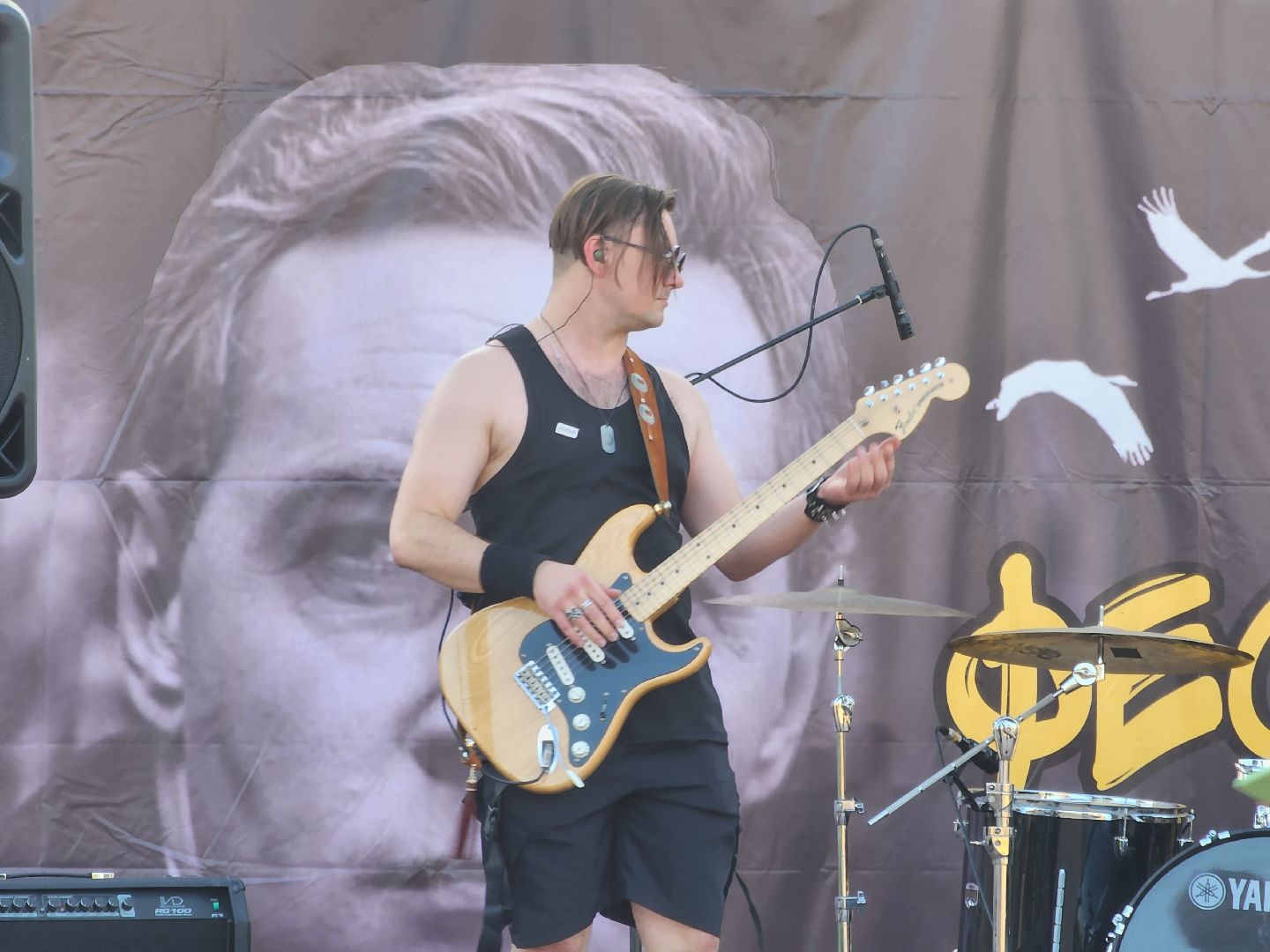 Павловский Посад, городской округ Павловский Посад, люди, праздник, концерт, группа, фестиваль