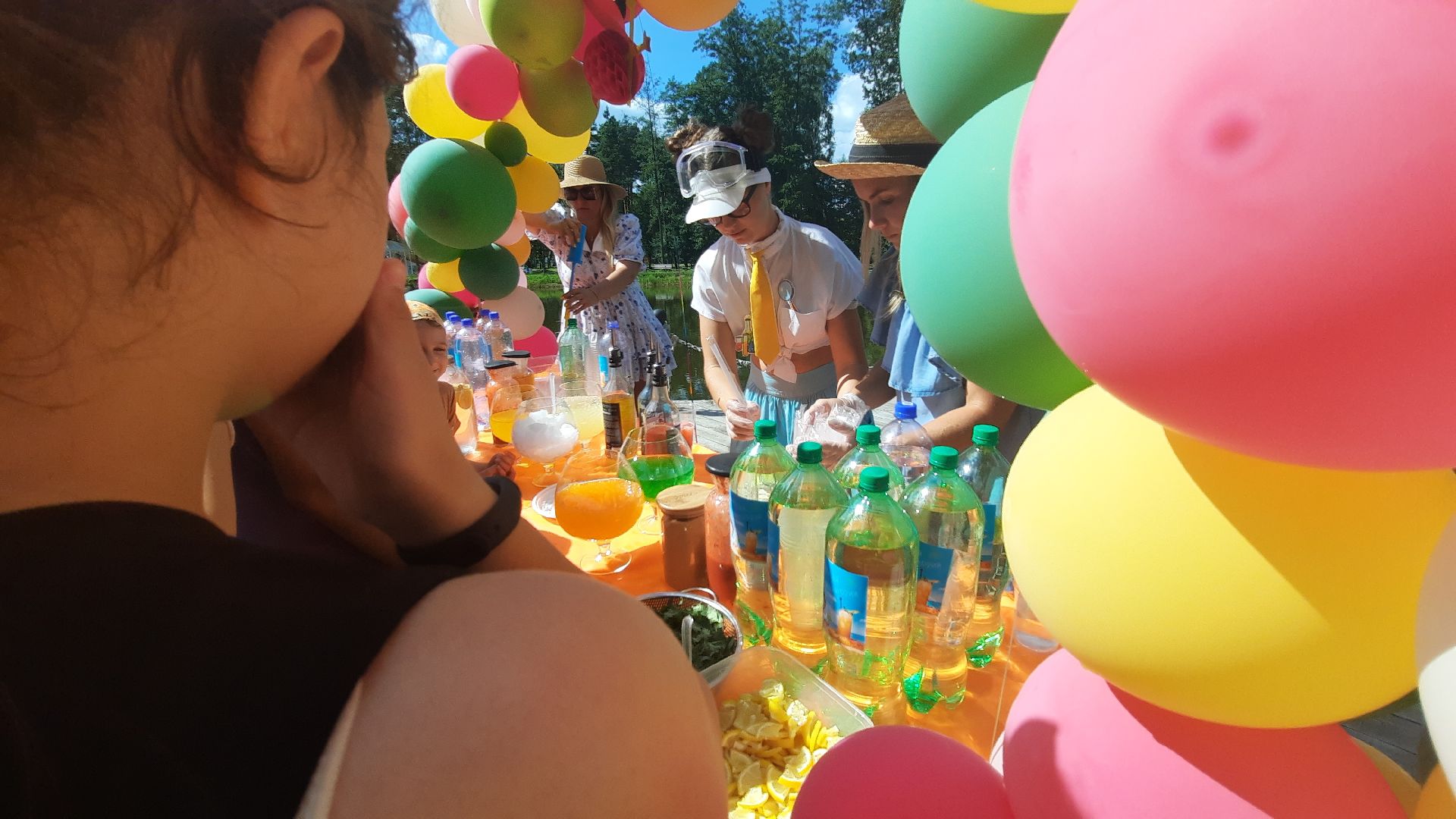 городской округ Шатура, общественная палата, фестиваль Летние сны