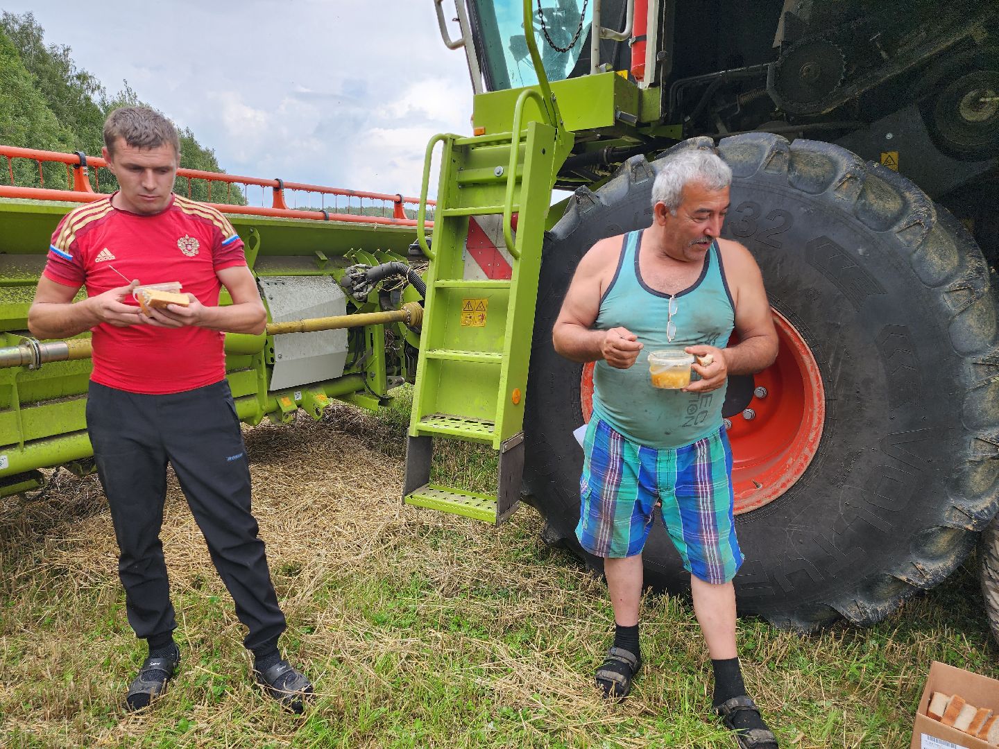 Уборка озимых, Барыбино, Домодедово