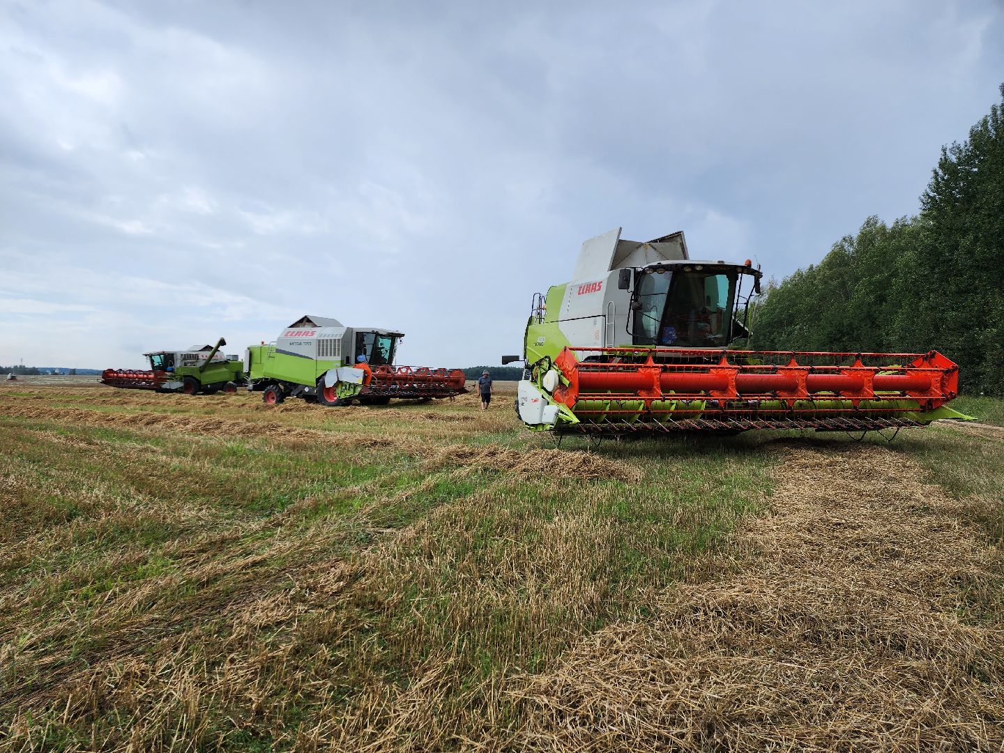 Уборка озимых, Барыбино, Домодедово