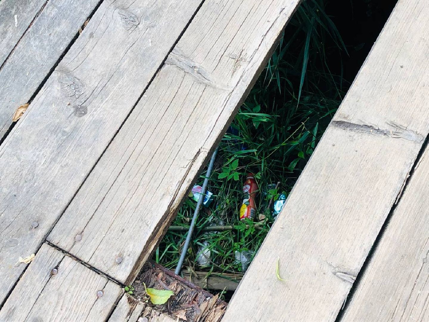 Руза, парк, лукоморье, благоустройство, жители, дети, реконструкция