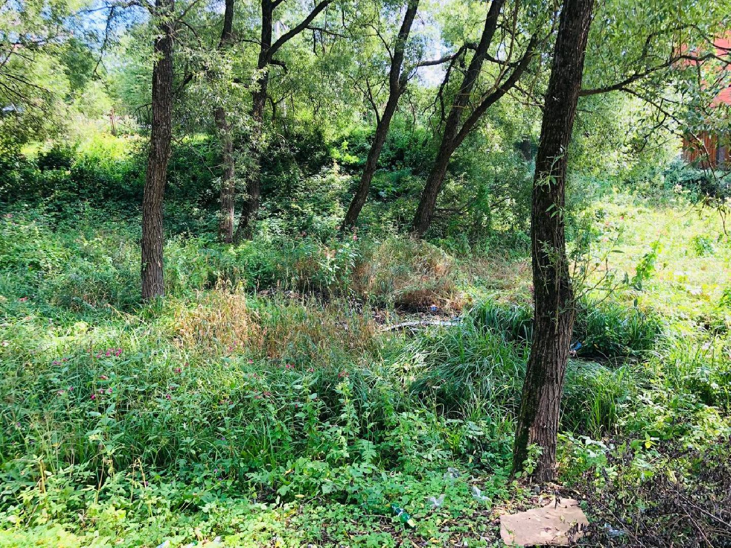 Руза, парк, лукоморье, благоустройство, жители, дети, реконструкция