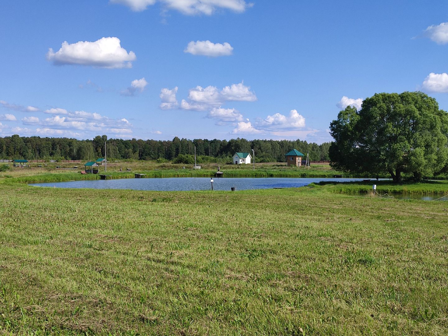 #сельскоехозяйство, #талдомскийокруг, #экономика, #предприятие, #рыбалка, #мясо, #молочнаяпродукция, #своепроизводство