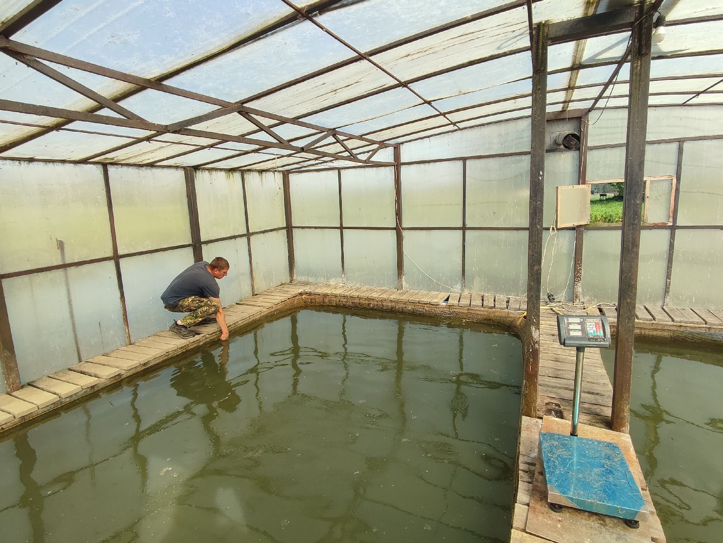 #сельскоехозяйство, #талдомскийокруг, #экономика, #предприятие, #рыбалка, #мясо, #молочнаяпродукция, #своепроизводство