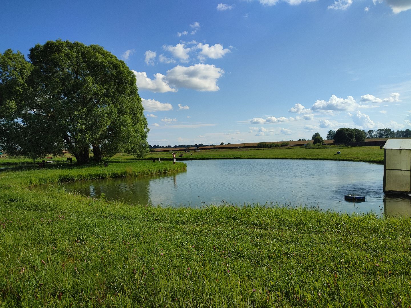 #сельскоехозяйство, #талдомскийокруг, #экономика, #предприятие, #рыбалка, #мясо, #молочнаяпродукция, #своепроизводство