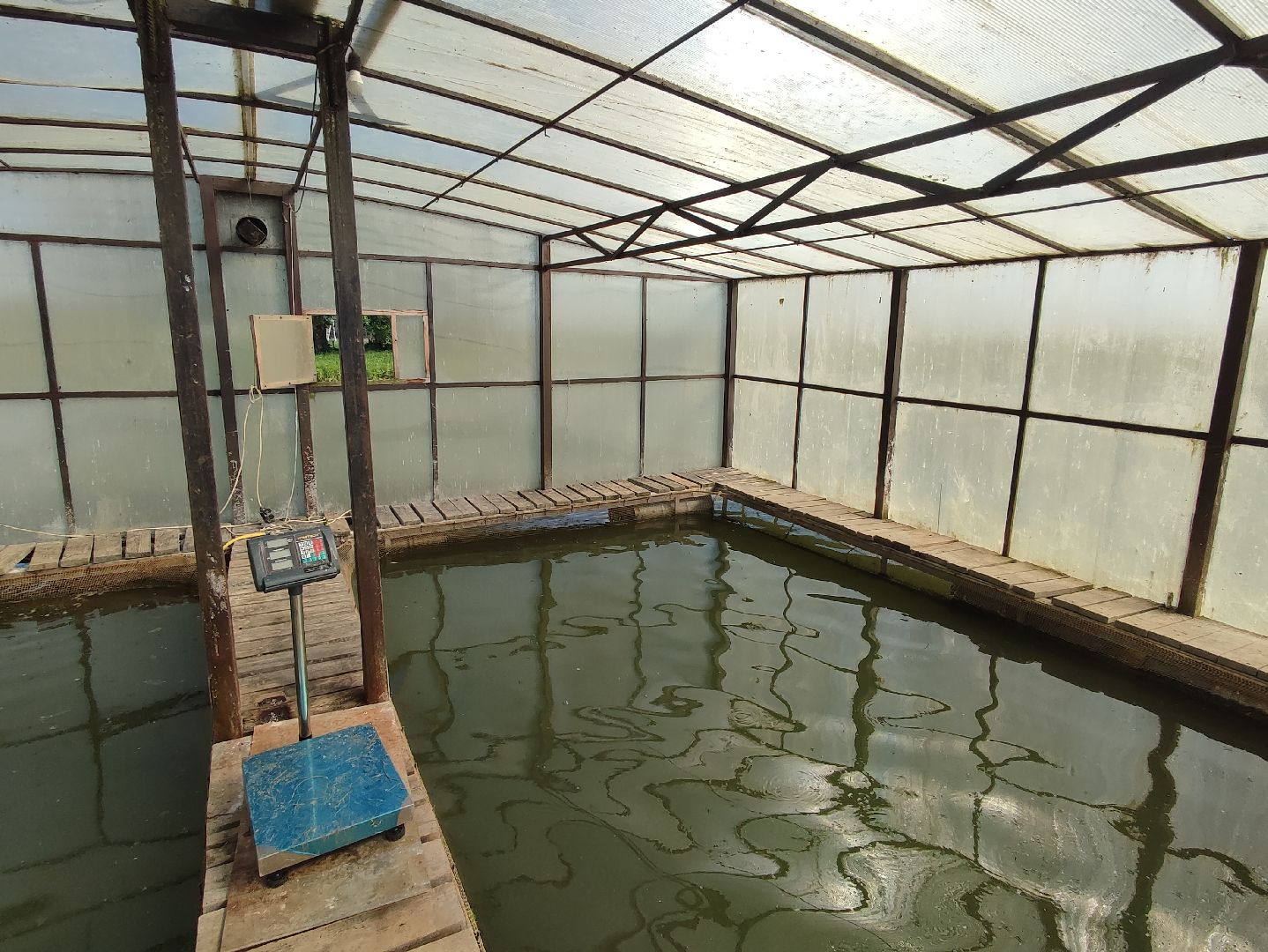 #сельскоехозяйство, #талдомскийокруг, #экономика, #предприятие, #рыбалка, #мясо, #молочнаяпродукция, #своепроизводство