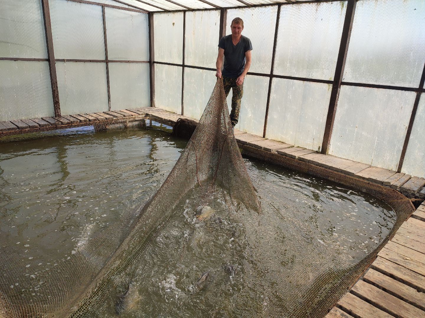 #сельскоехозяйство, #талдомскийокруг, #экономика, #предприятие, #рыбалка, #мясо, #молочнаяпродукция, #своепроизводство