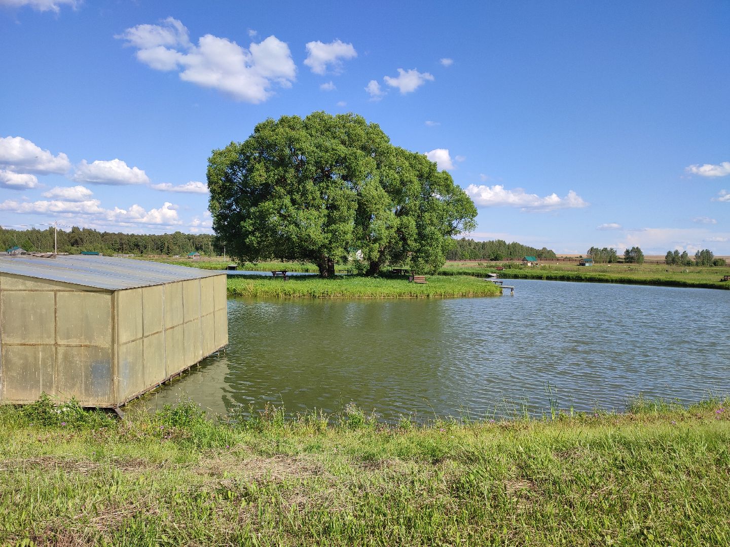 #сельскоехозяйство, #талдомскийокруг, #экономика, #предприятие, #рыбалка, #мясо, #молочнаяпродукция, #своепроизводство