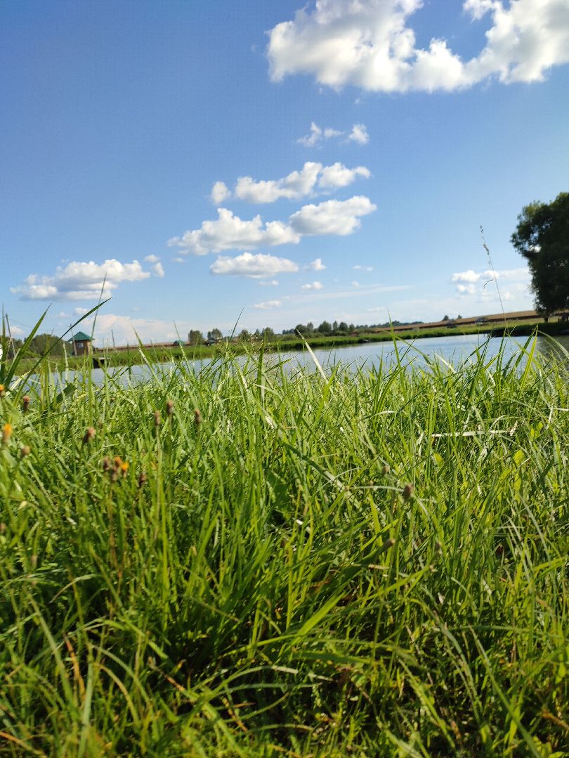 #сельскоехозяйство, #талдомскийокруг, #экономика, #предприятие, #рыбалка, #мясо, #молочнаяпродукция, #своепроизводство