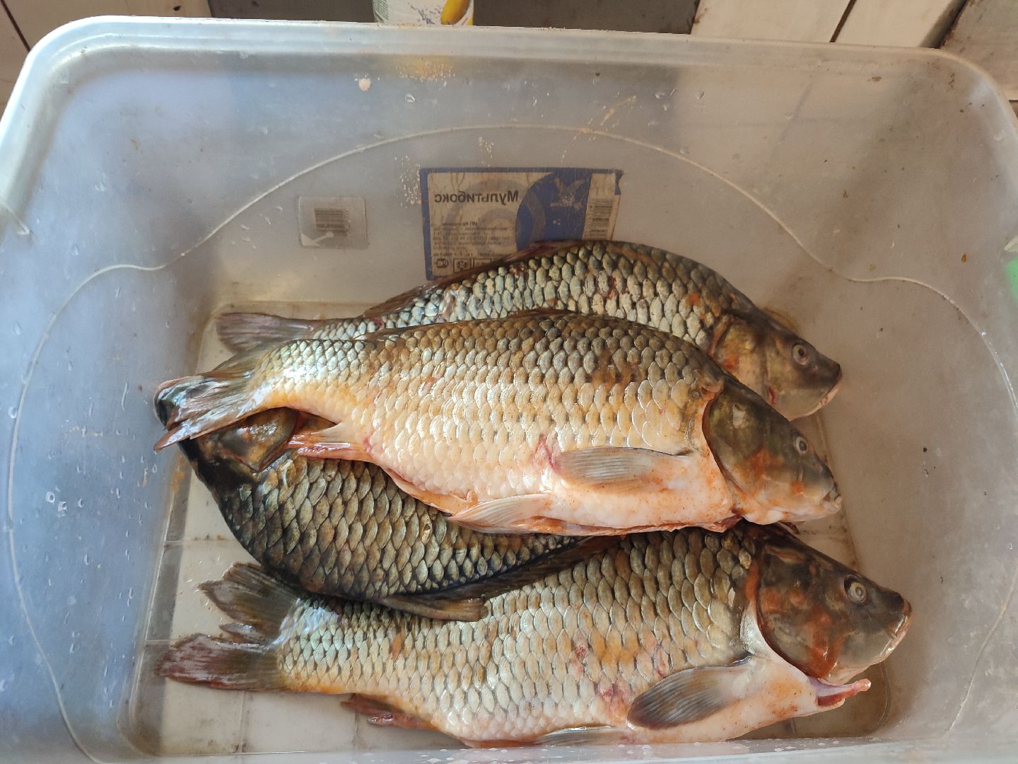 #сельскоехозяйство, #талдомскийокруг, #экономика, #предприятие, #рыбалка, #мясо, #молочнаяпродукция, #своепроизводство