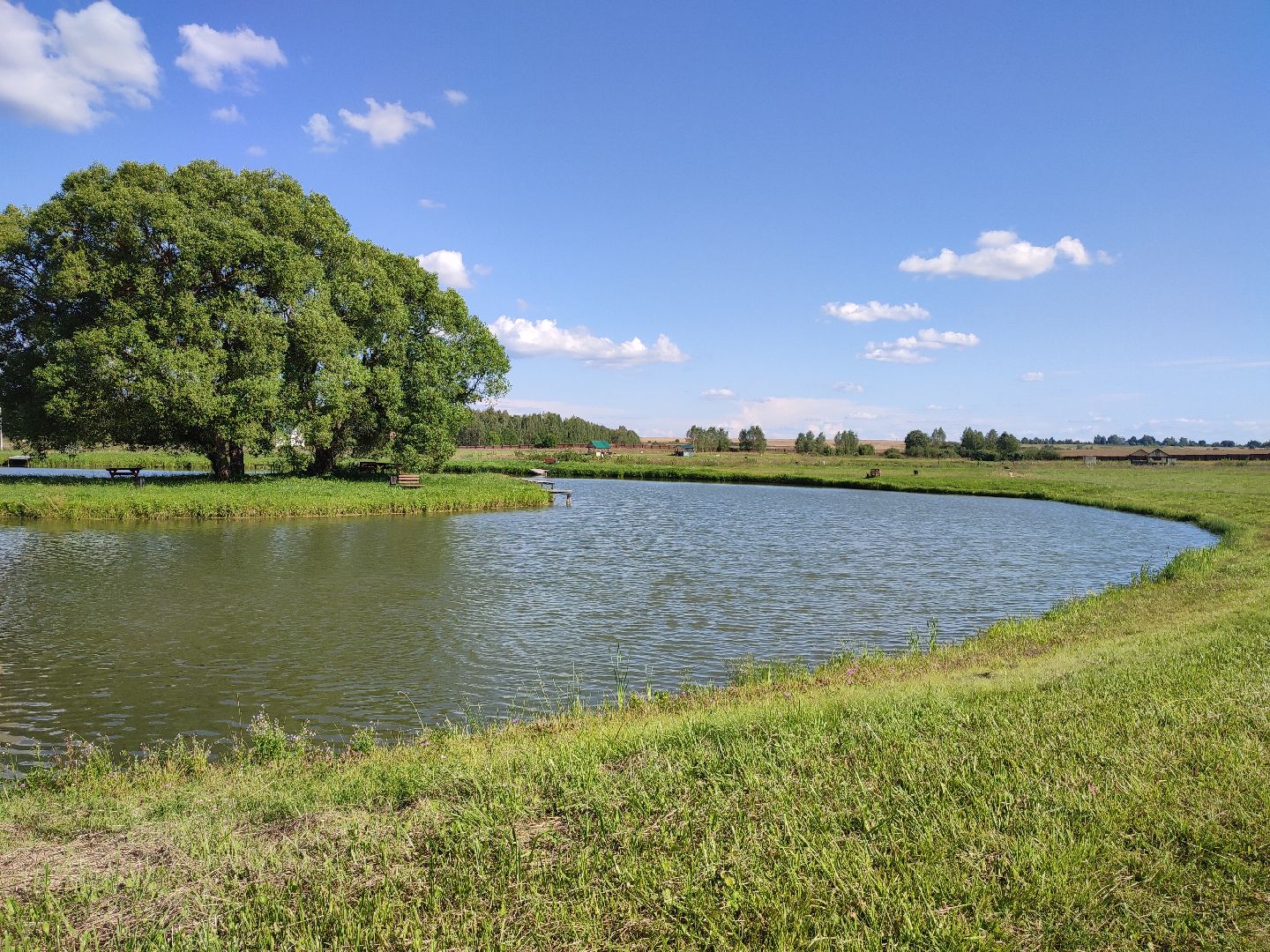 #сельскоехозяйство, #талдомскийокруг, #экономика, #предприятие, #рыбалка, #мясо, #молочнаяпродукция, #своепроизводство