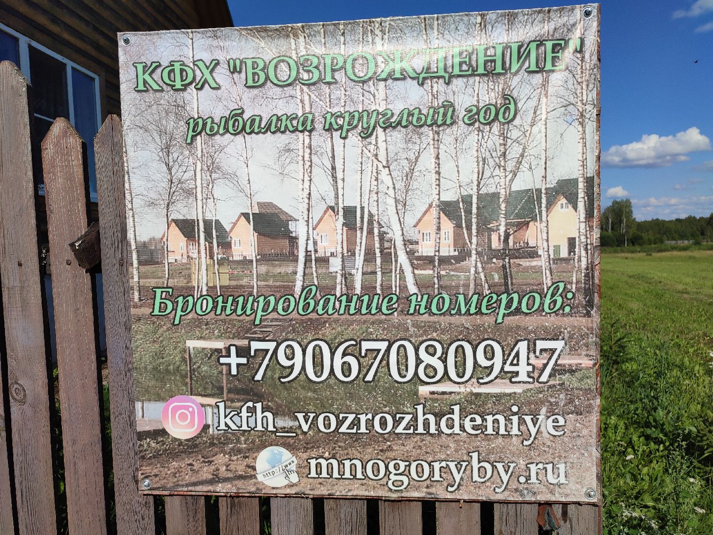 #сельскоехозяйство, #талдомскийокруг, #экономика, #предприятие, #рыбалка, #мясо, #молочнаяпродукция, #своепроизводство