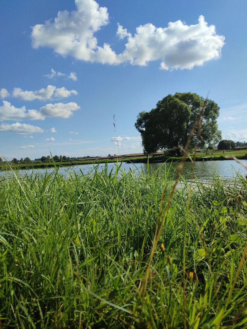 #сельскоехозяйство, #талдомскийокруг, #экономика, #предприятие, #рыбалка, #мясо, #молочнаяпродукция, #своепроизводство