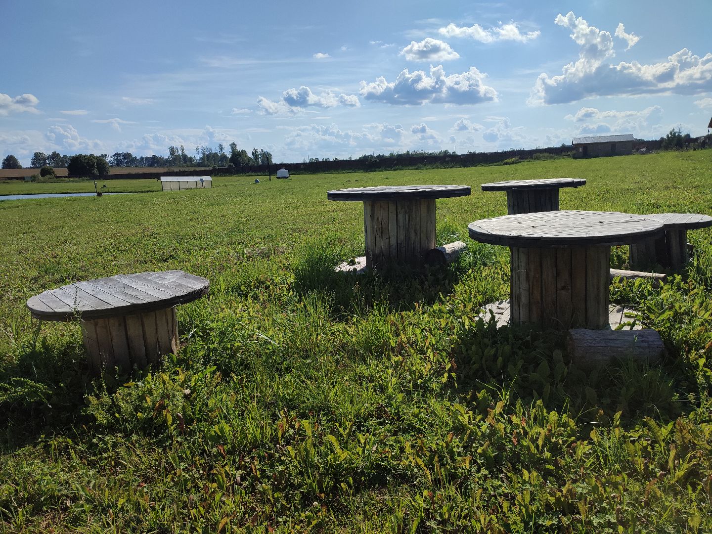 #сельскоехозяйство, #талдомскийокруг, #экономика, #предприятие, #рыбалка, #мясо, #молочнаяпродукция, #своепроизводство