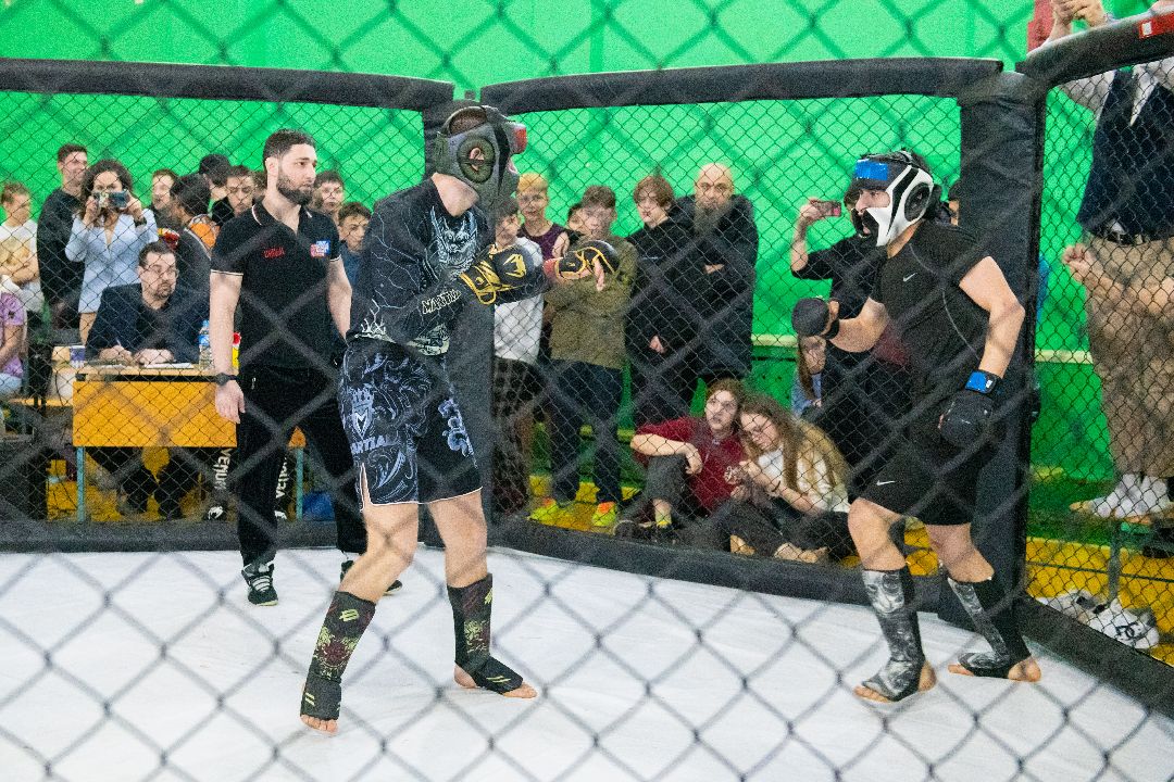 Лыткарино Спорт