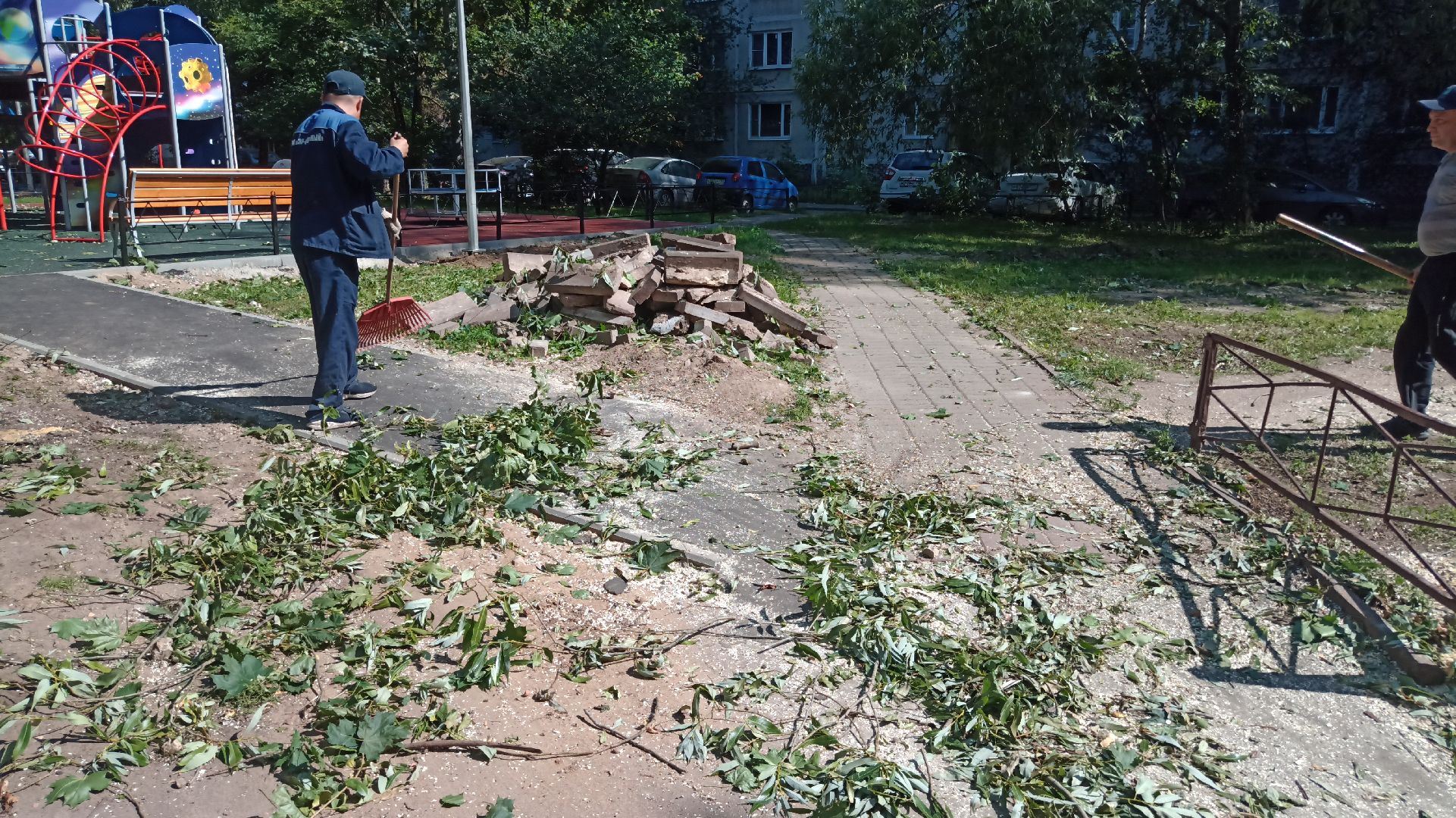 Реутов, благоустройство, деревья, тополь