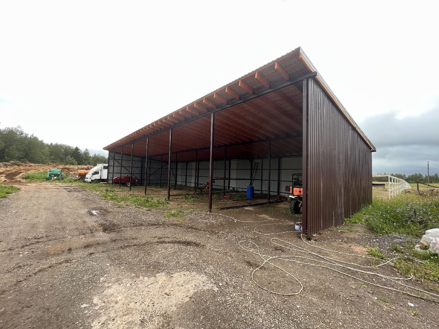 Шаховская, лошади, лошадиная ферма