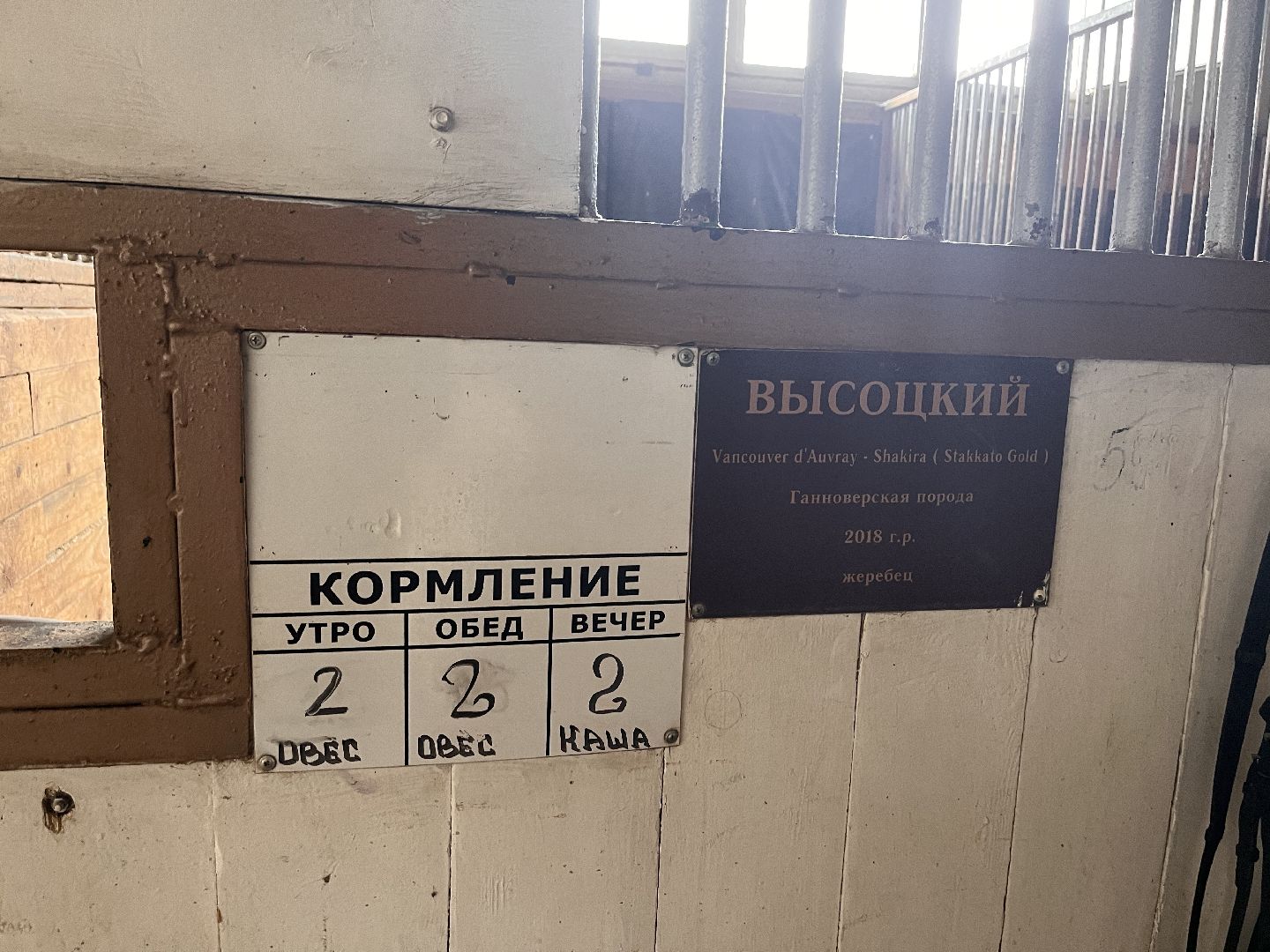 Шаховская, лошади, лошадиная ферма