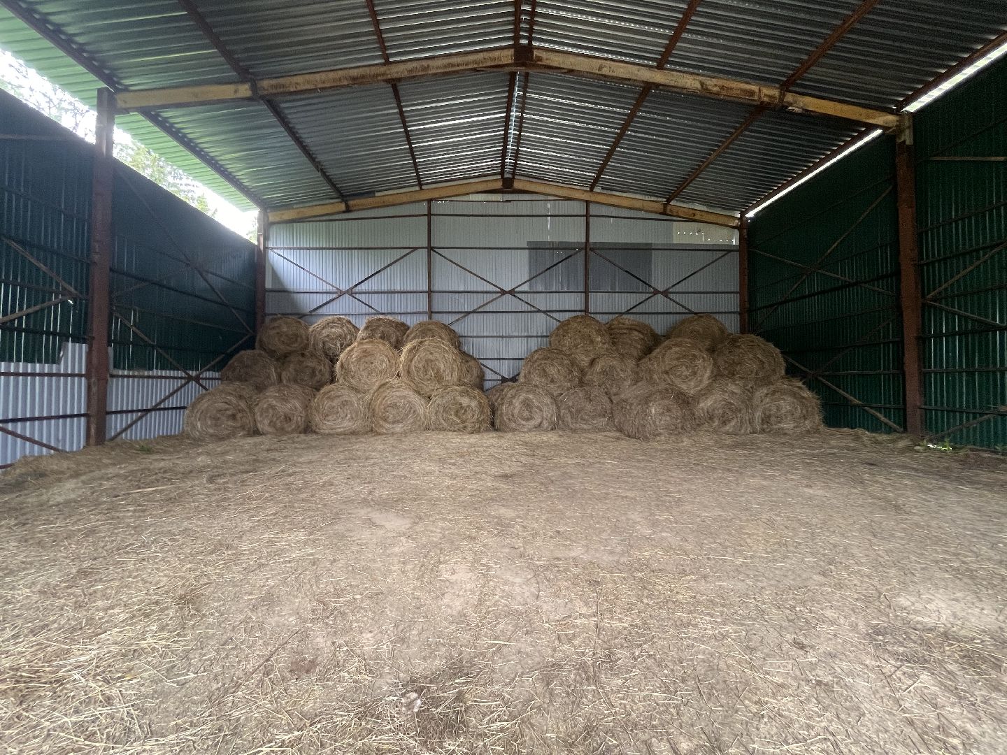 Шаховская, лошади, лошадиная ферма