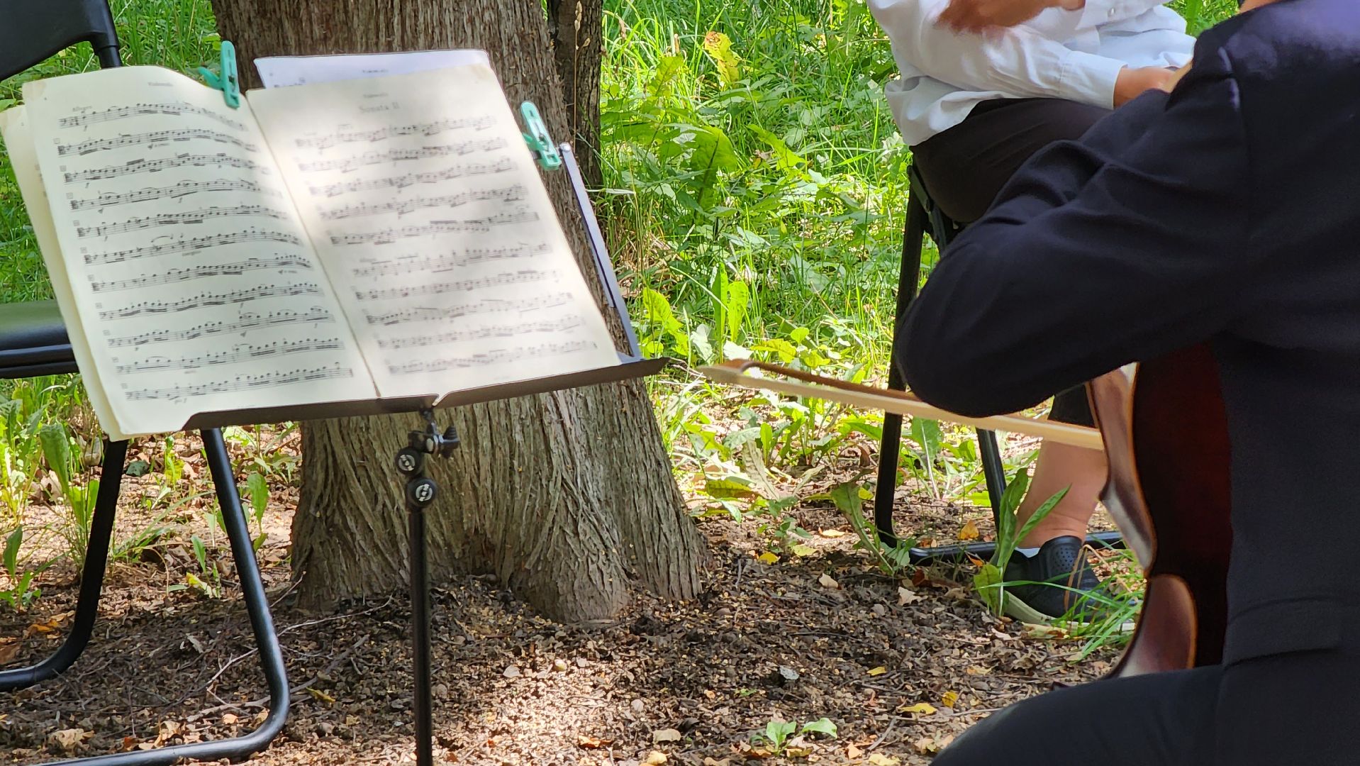 культура, музей, концерт,