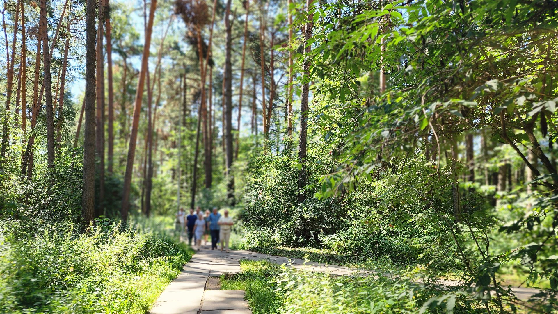 ДИП, детские игровые площадки, содержание, обход, Протвино