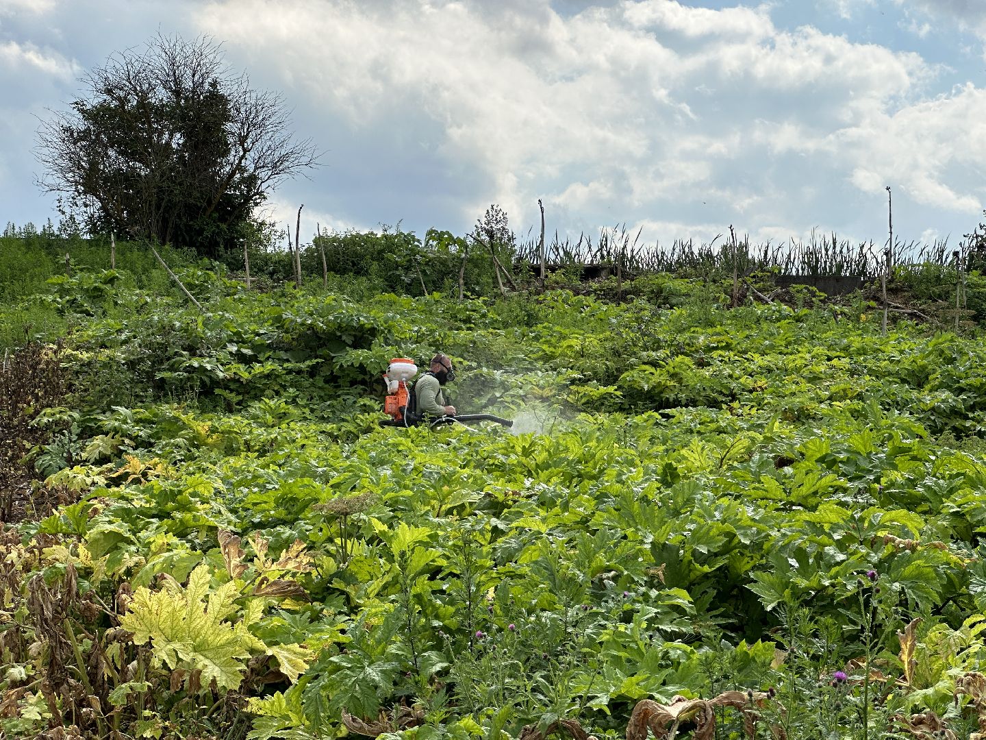 Клин, фермеры, общество, сельское хозяйство, Подмосковье