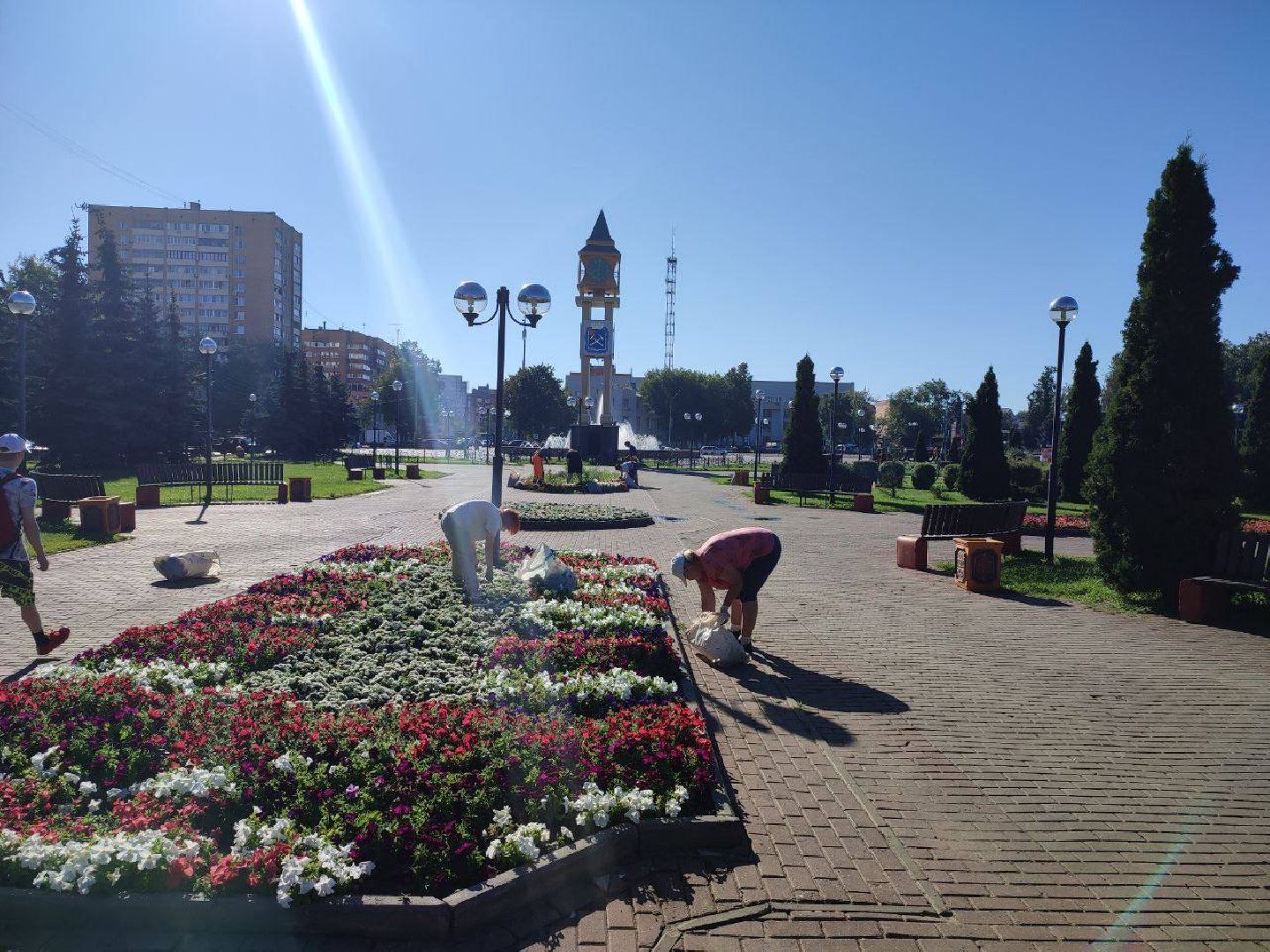 Подольск, цветы, благоустройство