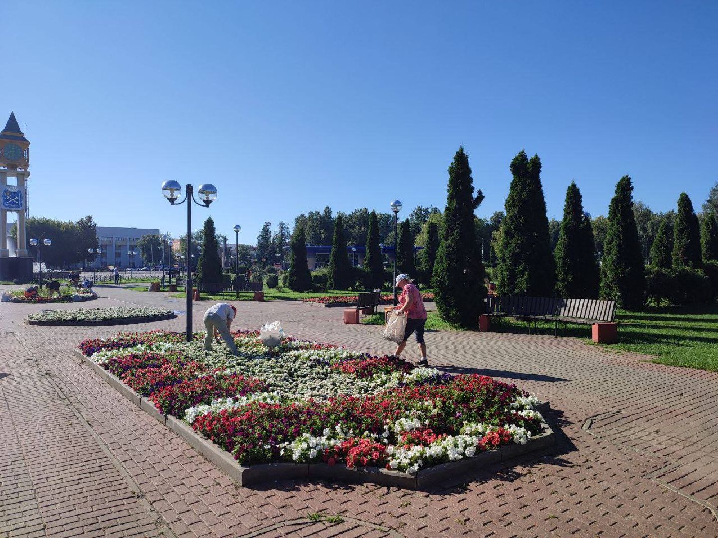 Подольск, цветы, благоустройство