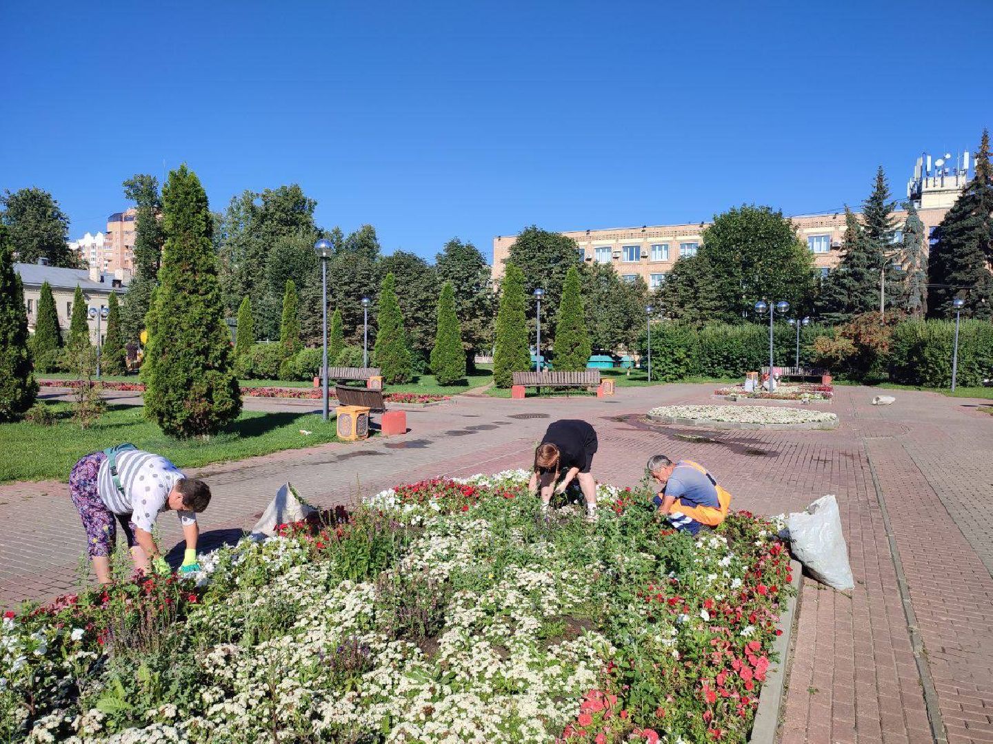 Подольск, цветы, благоустройство