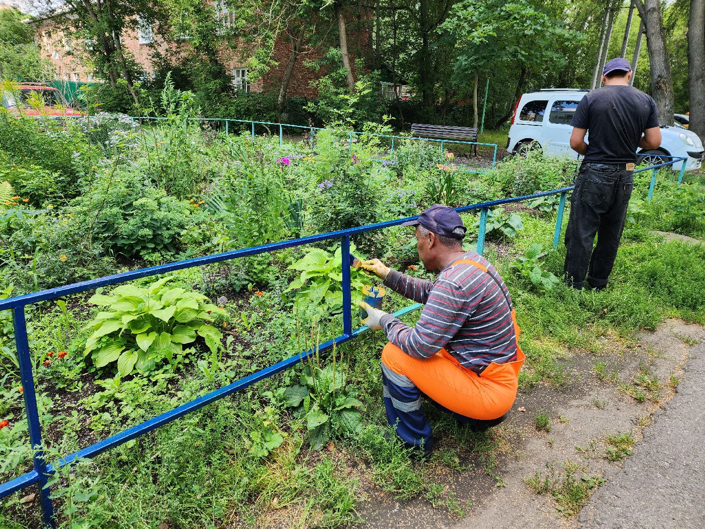 Красноармейск, Пушкинский, ЖКХ, благоустройство, дворы