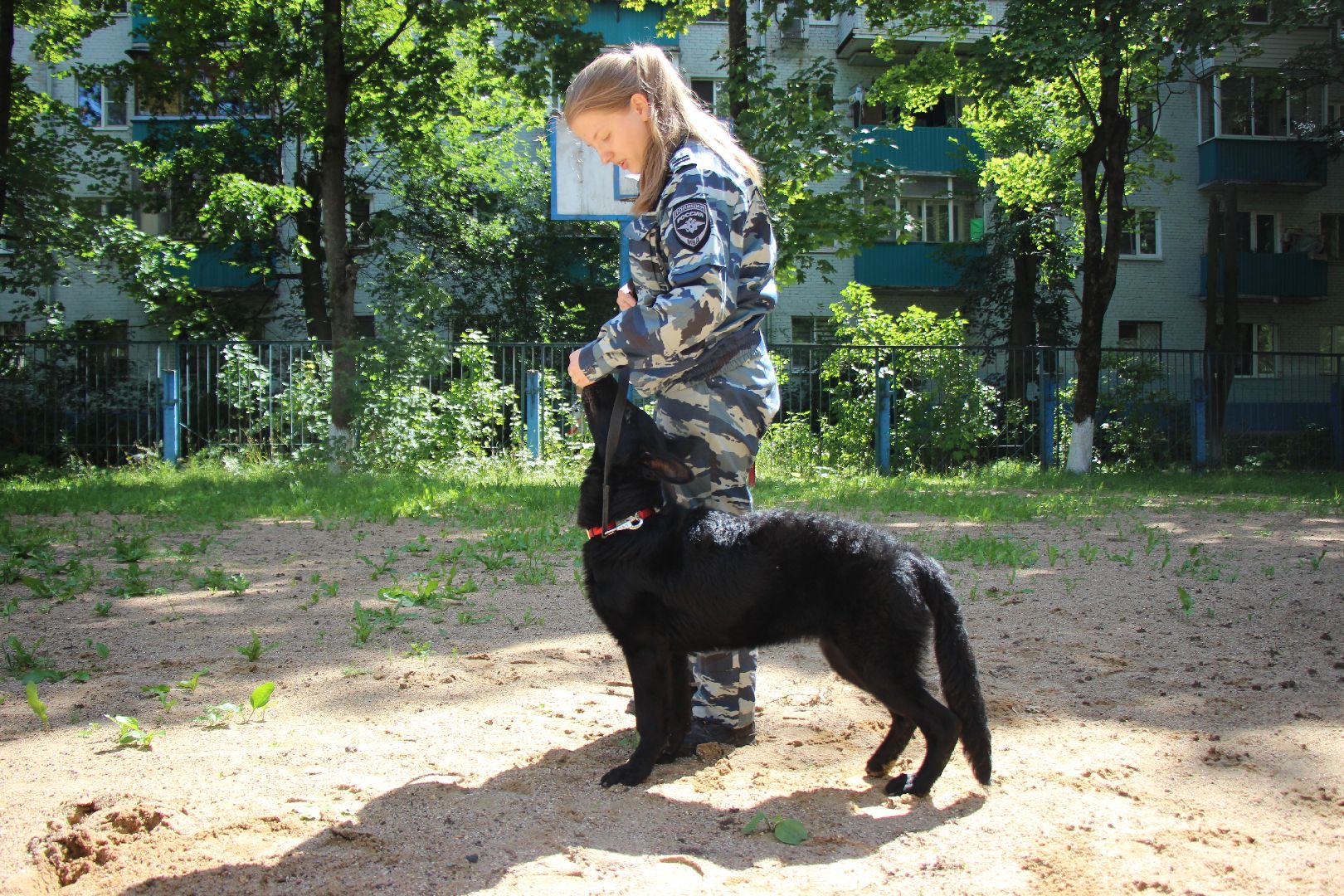 Лобня, собака, полиция