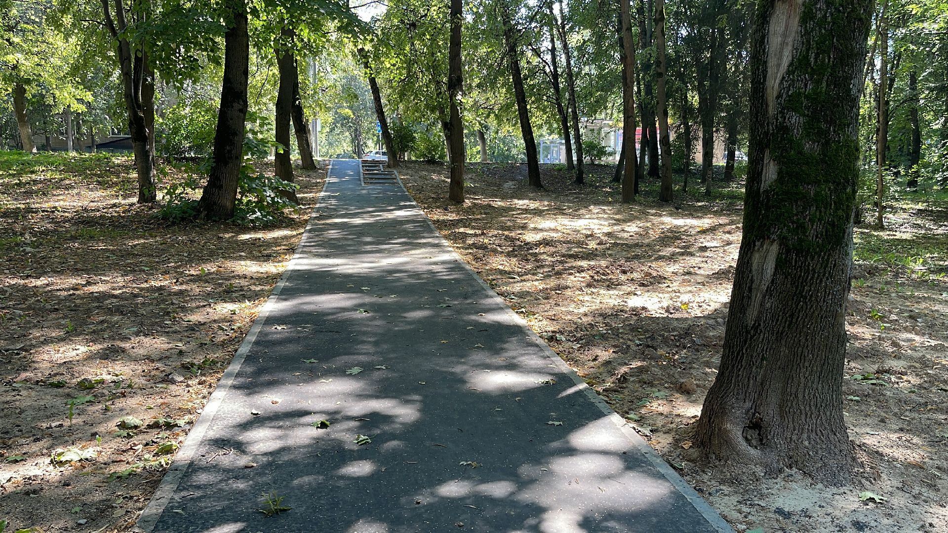 Одинцово, народная тропа, пешком, губернатор, благоустройство, тротуар,