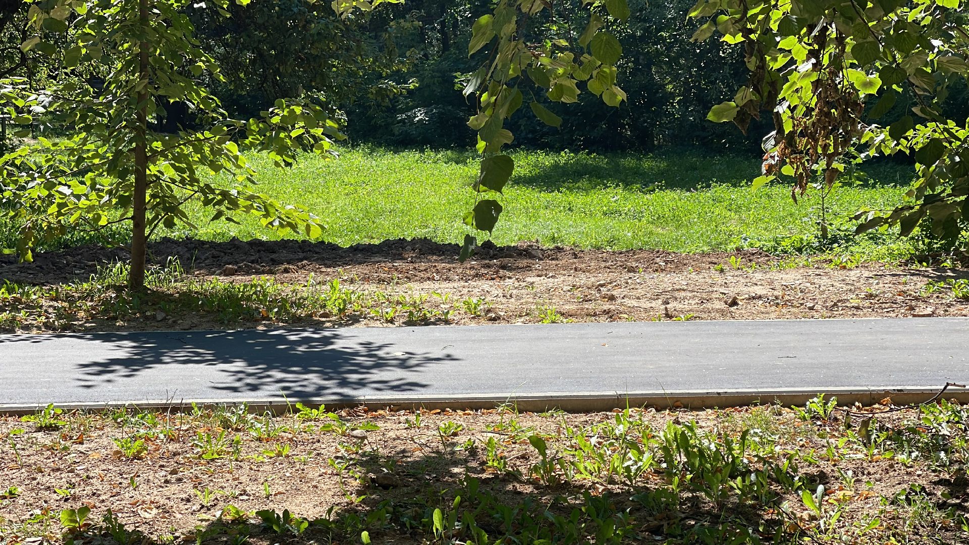 Одинцово, народная тропа, пешком, губернатор, благоустройство, тротуар,