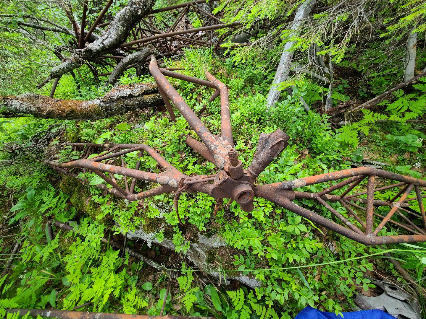 Долгопрудный, туризм, школы, дирижабль, отряд памяти