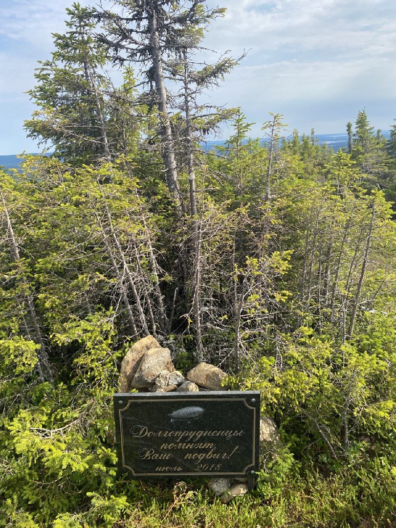 Долгопрудный, туризм, школы, дирижабль, отряд памяти