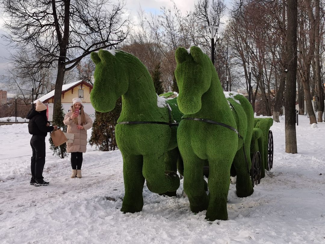 Подольск Общество