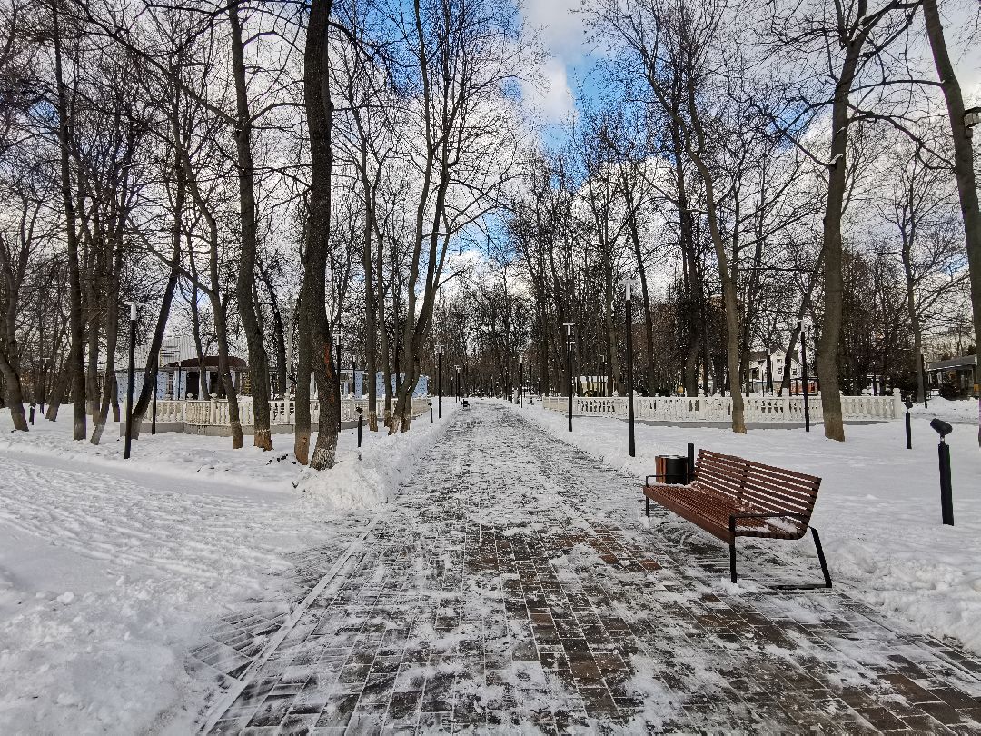 Подольск Общество