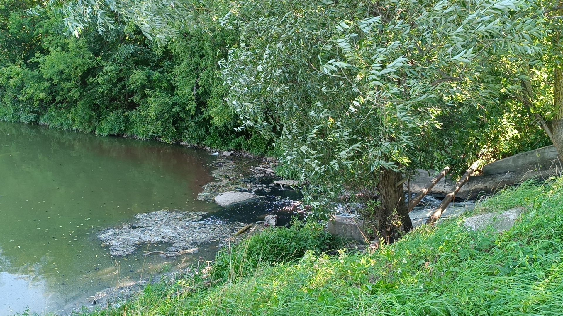 Лобня, экология, река