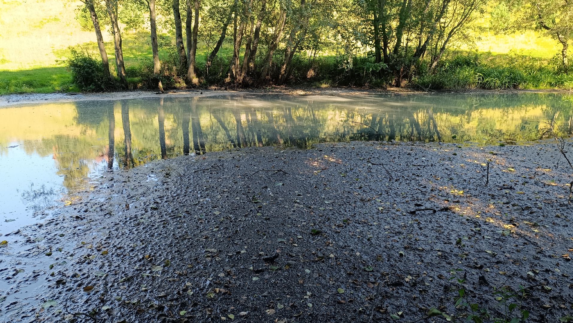 Лобня, экология, река