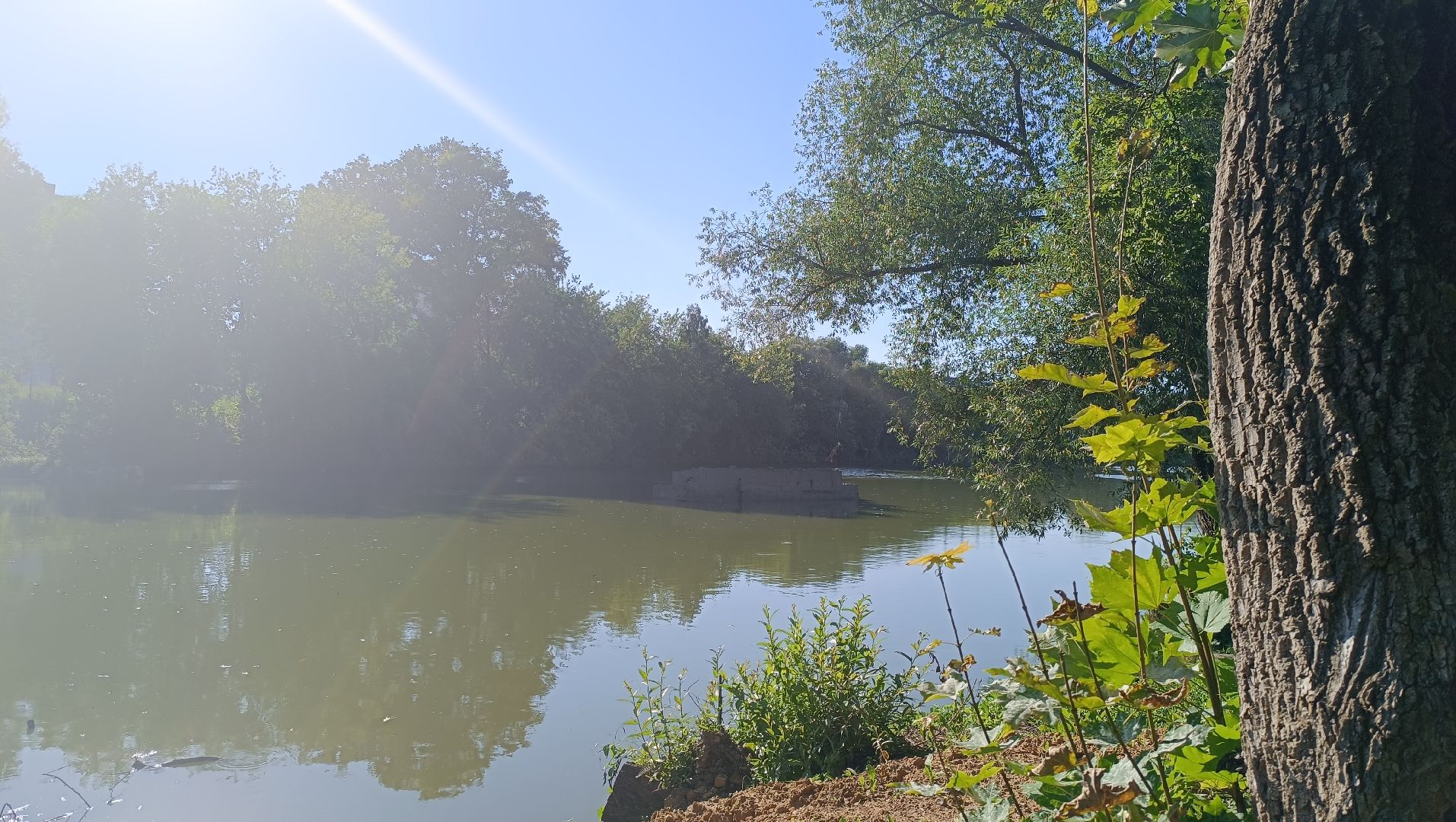 Лобня, экология, река