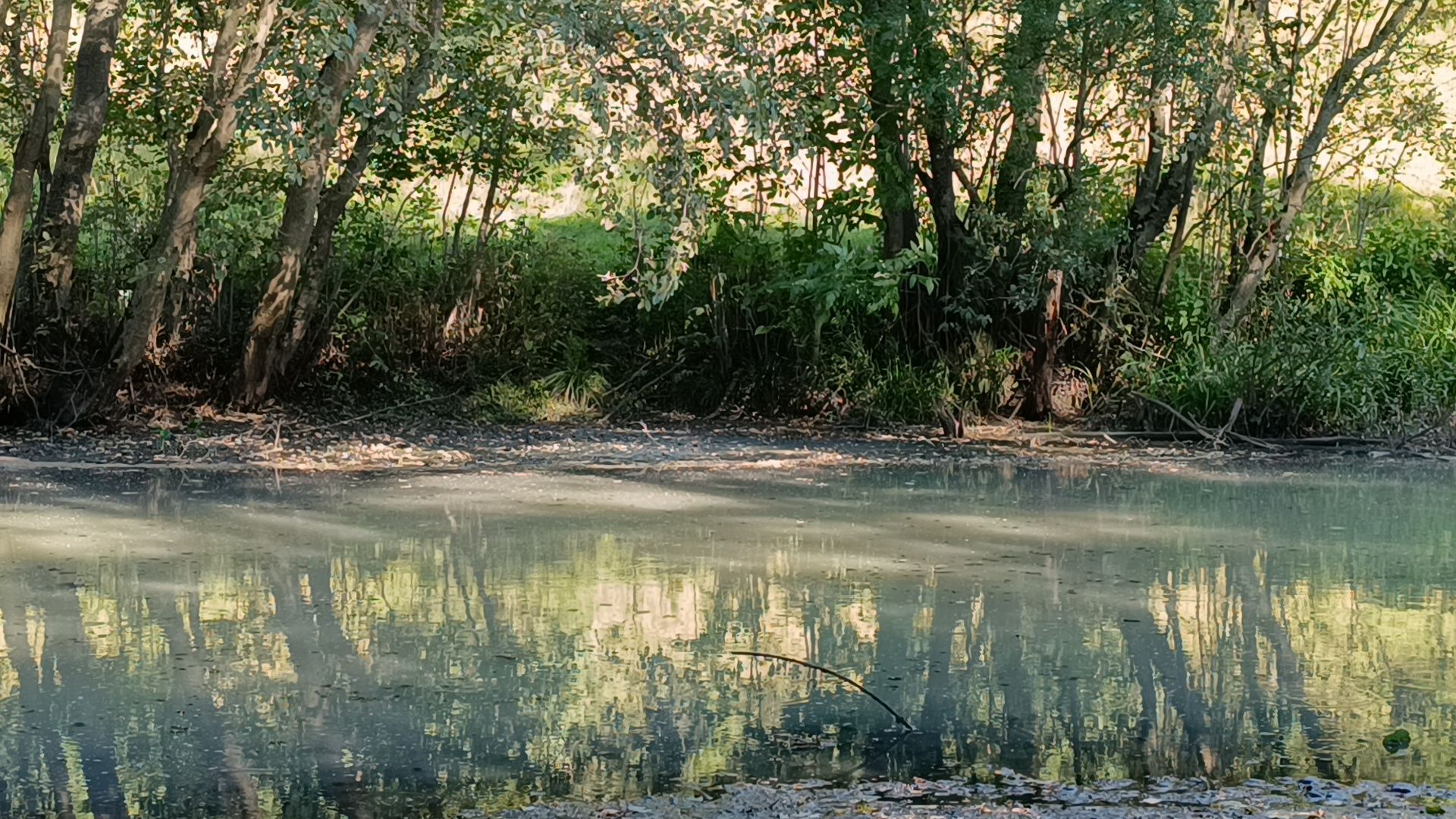 Лобня, экология, река