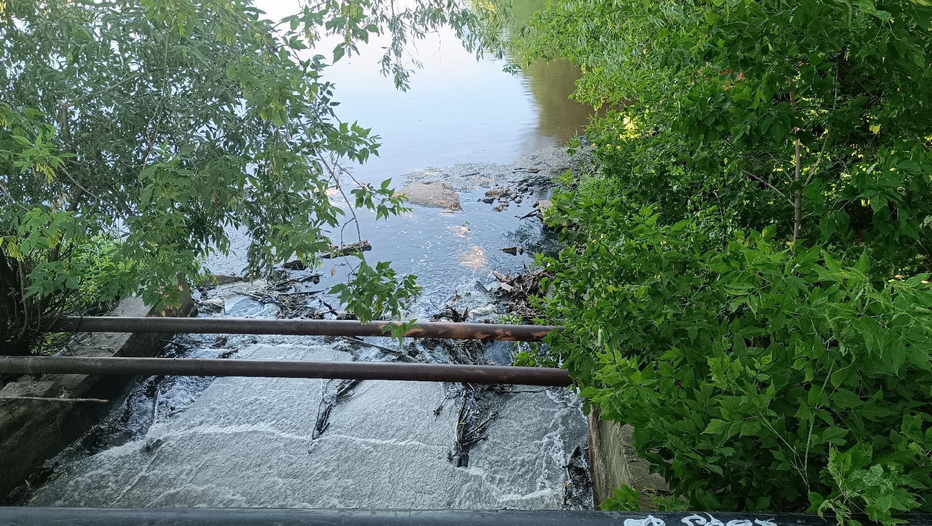 Лобня, экология, река