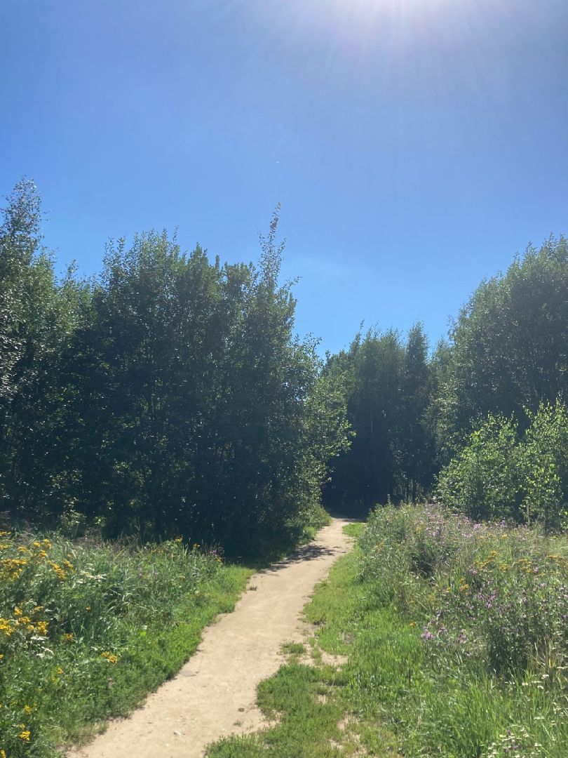 Солнечногорск, Рекинцо, парк, благоустройство, отдых